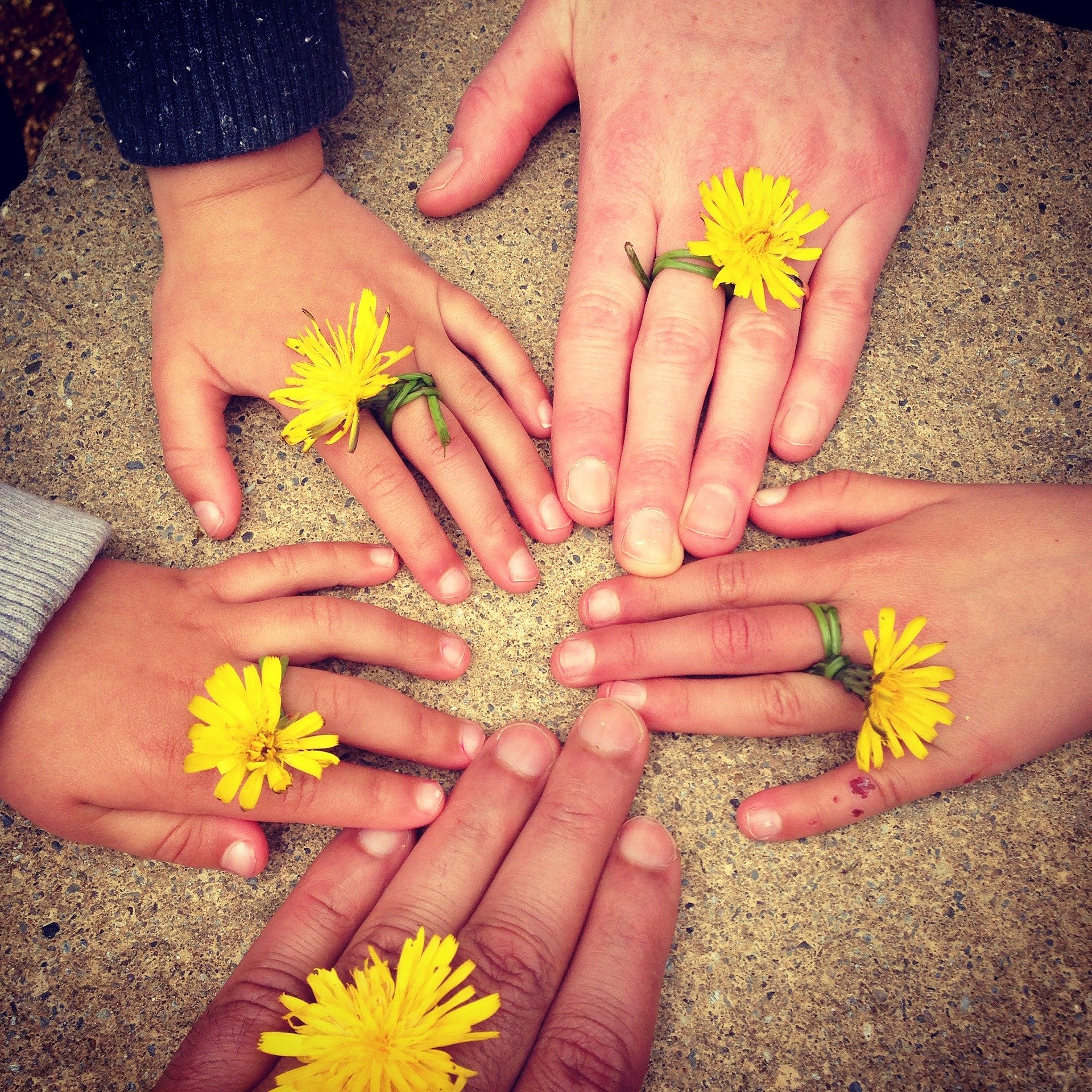 Fünf Kinderhände liegen auf Sandboden mit gelben Löwenzahlblumen als Ringe