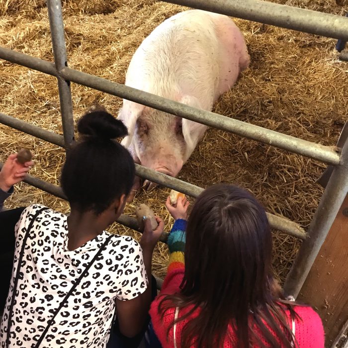 Kinder beim Bauernhof Spielraum